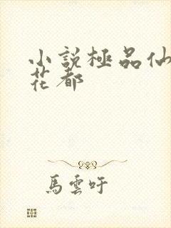 小说极品仙帝在花都