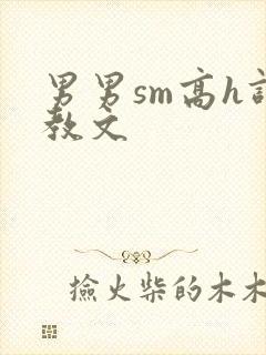 男男sm高h调教文封面