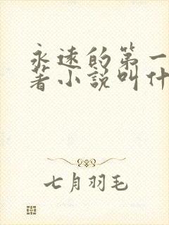 永远的第一名原著小说叫什么