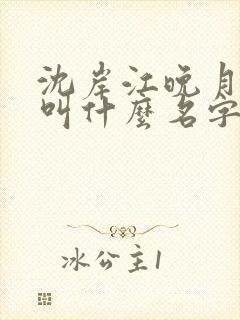 沈岸江晚月小说叫什么名字