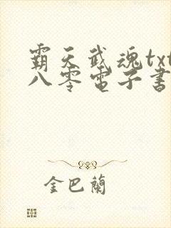 霸天武魂txt八零电子书