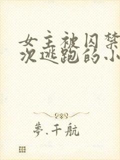 女主被囚禁并多次逃跑的小说