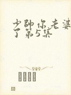 少帅你老婆又跑了第5集