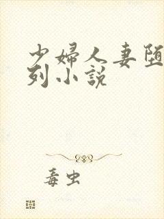 少妇人妻堕落系列小说