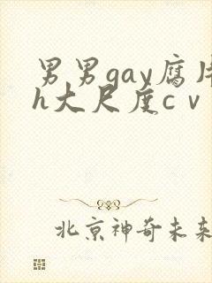 男男gay腐片h大尺度cⅴ