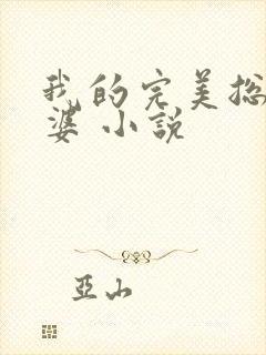 我的完美总裁老婆 小说