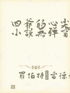 四爷的心尖宠妃小说无弹窗封面