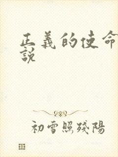 正义的使命 小说