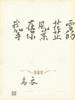 我在风花雪月里等你叶芷的孩子