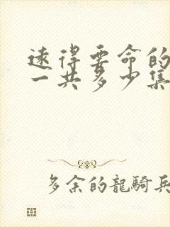 远得要命的爱情一共多少集