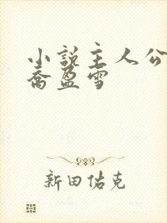 小说主人公沈荡乔盈雪