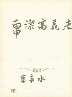 白洁高义老七王申