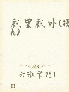 戏里戏外(现场h)