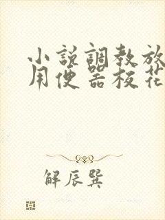 小说调教放荡公用便器校花