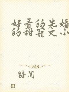 好看的先婚后爱的甜宠文小说