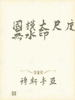 国模大尺度私拍无水印