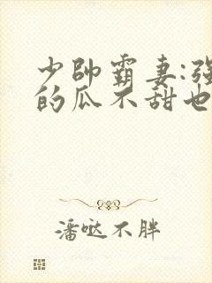 少帅霸妻:强扭的瓜不甜也得甜