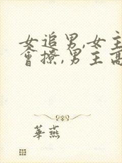 女追男,女主很会撩,男主高冷禁欲