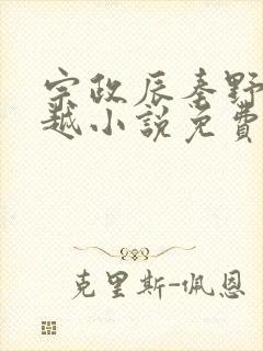 宗政辰秦野的穿越小说免费阅读