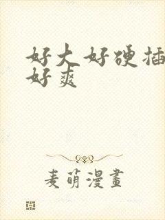 好大好硬插得我好爽