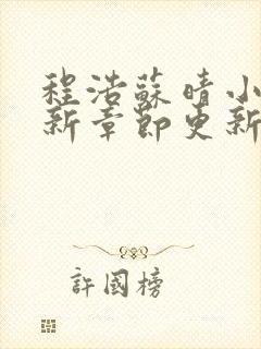 程浩苏晴小说最新章节更新时间