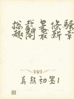 总裁是条骚狗笔趣阁最新章节免费阅读