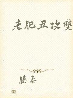 老肥丑攻双性受