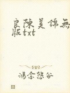 良陈美锦无删减版txt
