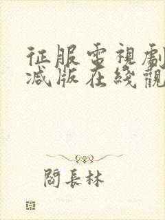 征服电视剧无删减版在线观看