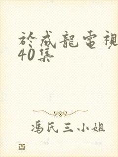 于成龙电视剧第40集