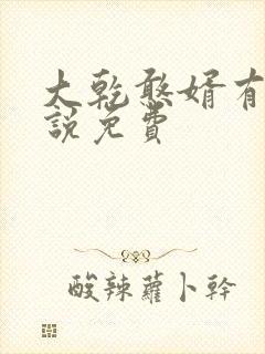 大乾憨婿有声小说免费