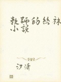 教师的丝袜美腿小说封面