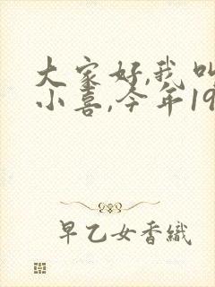 大家好,我叫林小喜,今年19岁小说封面