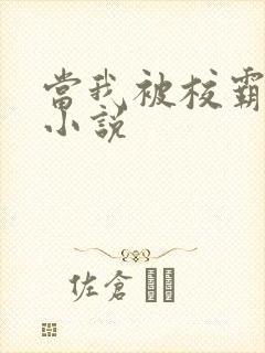 当我被校霸盯上小说