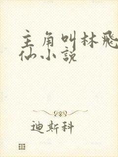 主角叫林飞的修仙小说