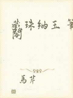 藏珠纳玉 笔趣阁