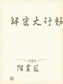 解密大行动