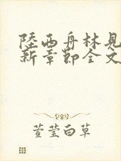 陆西舟林见微最新章节全文免费阅读