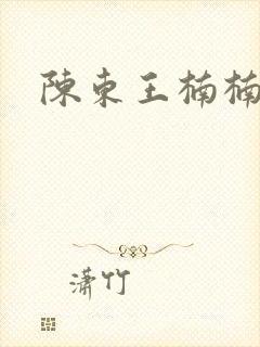 陈东王楠楠小说