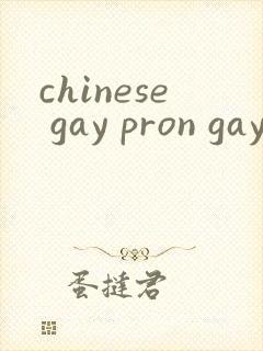 chinese gay pron gay封面