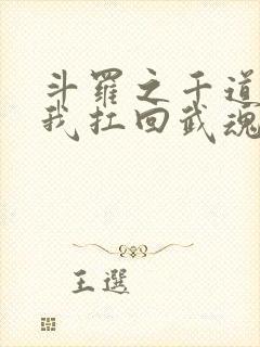 斗罗之千道流把我扛回武魂殿