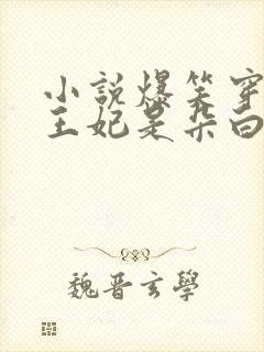 小说爆笑穿越:王妃是朵白莲花免费下载