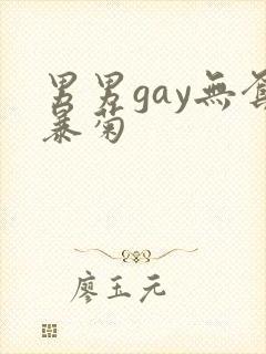 男男gay无套暴菊