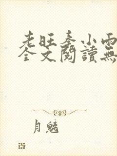 老旺秦小雨小说全文阅读无弹窗
