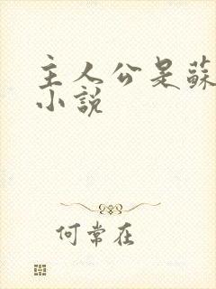 主人公是苏扬的小说封面