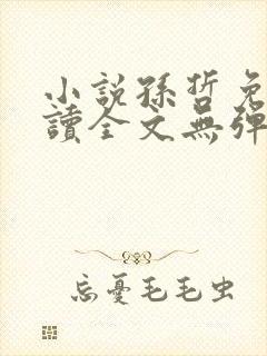 小说孙哲免费阅读全文无弹窗