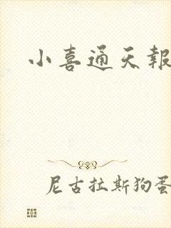 小喜通天报
