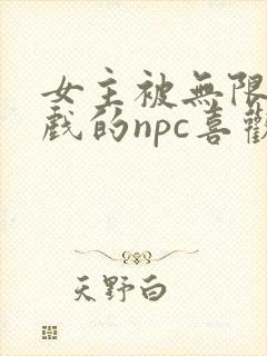 女主被无限流游戏的npc喜欢