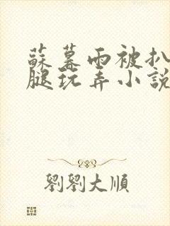 苏暮雨被扒开双腿玩弄小说封面