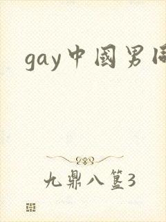 gay中国男同